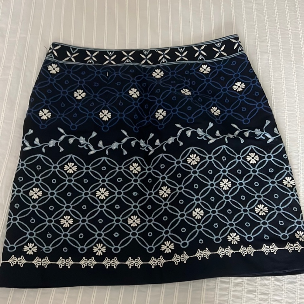 Embroidered Mini Skirt